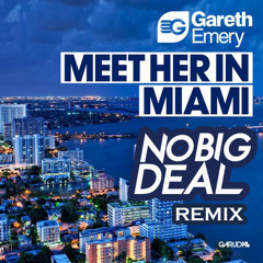 Gareth Emery - Meet Her In Miami (No Big Deal Remix)
