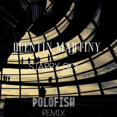 Starry Sky (Polofish Remix) - Quentin Martiny