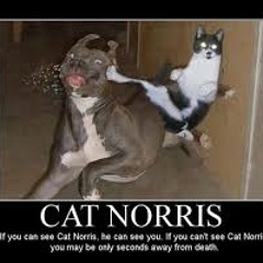 Home listening 3 17 13