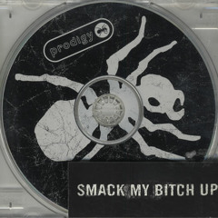 Smack My Bitch Up (The VocaLoop cover)