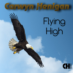 Flying High, Carwyn Henigan - Pre-Release Radio Edit