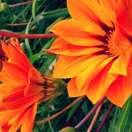 محمد حبك ديني <3 -حسين الأكرف