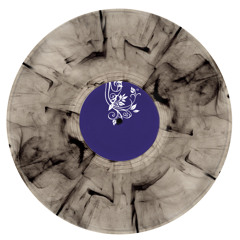 A1 - Carlos Nilmmns: "Voyager"