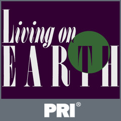 India’s Coal Killing Thousands