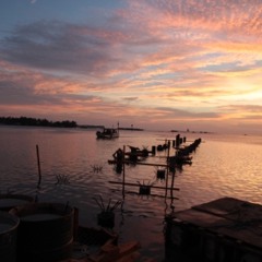 SkyFall - Adele (cover)