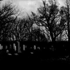 The Gravelord (demo)