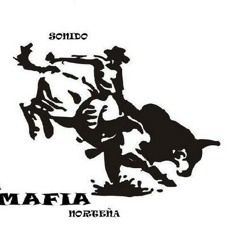 La mafia norteña  (Para No Verte  Mas) 2013