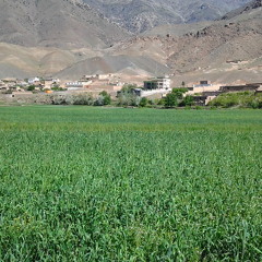 صوفي مجيد پنجشيري