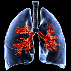 Lungful