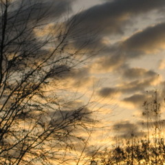 FUGAZI LIVE BEATS THE DYSTOPIAN ART AUTHORITAH!  tm