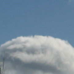 SOLIDLY SICK SILLY SATIRICALLY SURREAL SARDINIC SPACE BEATS FROM THE PLANET HAHA