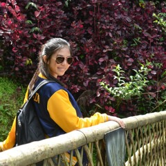 Haven't met you yet (acapella cover)