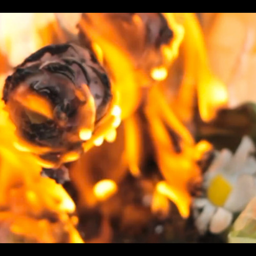 Some Velvet Morning (Lee Hazlewood & Nancy Sinatra covered by Yan Wagner)