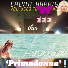 Calvin Harris vs others - You Used to Feel this Analogy, Primadonna!