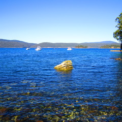 Donegal Danny [Dubliners cover - demo]