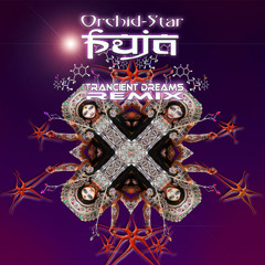 Puja - Trancient Dreams Remix