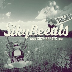 01.Siky - New project