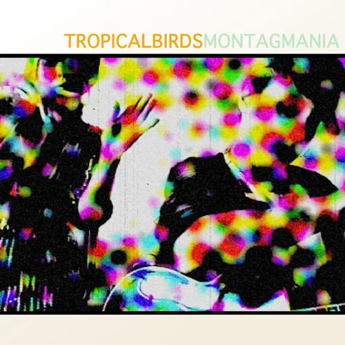 Tropical Birds-Album