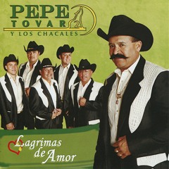 perras pa pistear