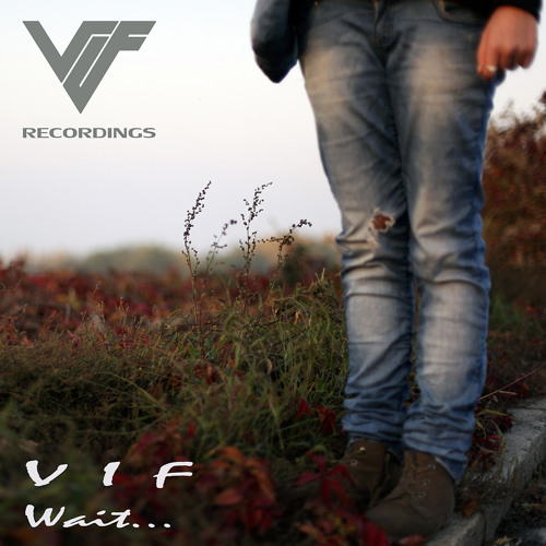 V I F - Wait (original mix)