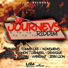 Tommy Lee - Journey