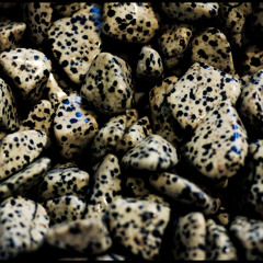 Ask [251003 guitar submix  24bit]