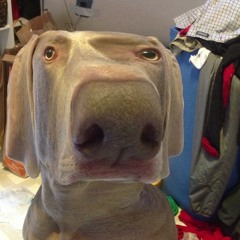 Greta bounce iMPC first try