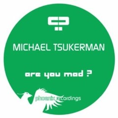 Michael Tsukerman - Are You Mad ? (Original Mix)