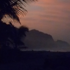 C. Mendoza - p.e.t. -  strago - anemona(mashup)