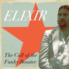 The Call of the Funky Rooster