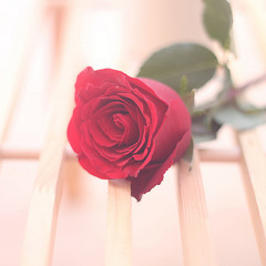 Dari Hati - Club 80's