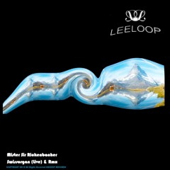 Mister Sir Rickenbacher - Swissorgan (Vibreen Remix)