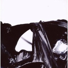 Flying lotus- RobertaFlank - Animal Living Remix