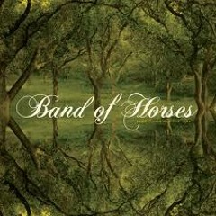 The Funeral - Band Of Horses / Remix / FREE DOWNLOAD /The Faceless WTF