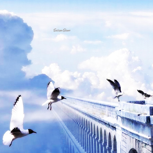 أنشوده | مثل طير