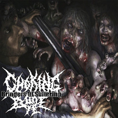 05 - EnThrails Full Of Vermins (Abominable Putridity Cover feat BULLY)
