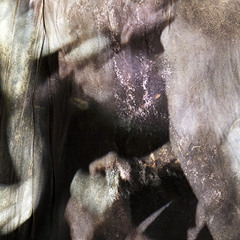 All the Flesh of His Body