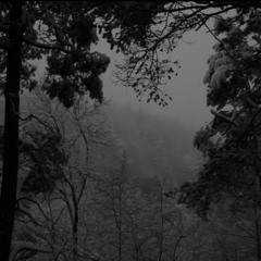 Varuð - Sigur Rós - Norwegian cover (Varselsskudd)