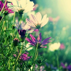 اني اخاف الله رب العالمين الشيخ عبد الواحد المغربي