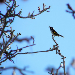 WEEK 31/52: The Rock Rock Lovers Love