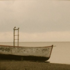 distant sound of the sea