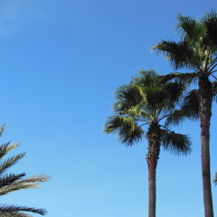 Trance Domain Ustream Show 3.17.13