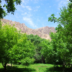 Yenə o bağ olaydı