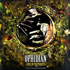 Ophidian - Lost in the forest (Prankster Remix) [Released ROT110 (2010)]