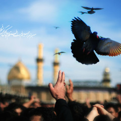 يا لحزن المسلمين لأمير المؤمينين