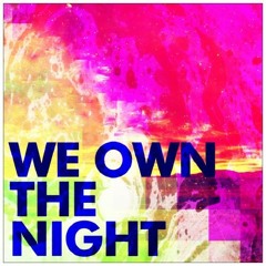 We Own The Night (The Ultra Music Festival Edition) by Noel Steele