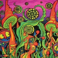 The put me in your festival tour, 1987.....Bro.D's Mix