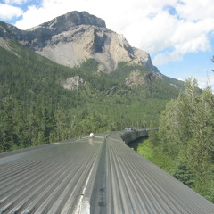 I Should Really Brush My Teeth