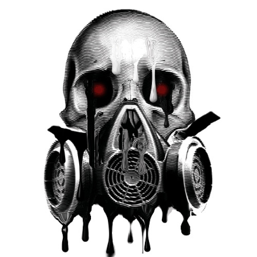 The mask
