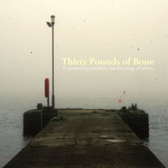 THIRTY POUNDS OF BONE - Home Faring